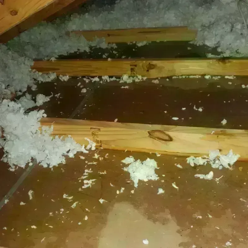 Attic Water Damage in Canaan, ME