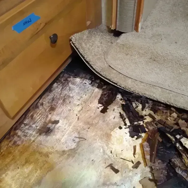 Best Wood Floor Water Damage Service in Canaan, ME